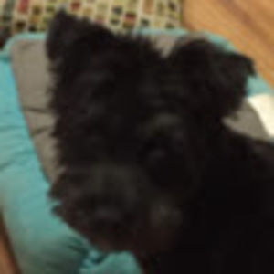 Meet your Posher, Colby